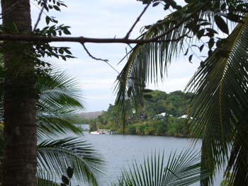 Vue du terrain de 2.5 has de Bocas del Toro, Panama